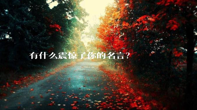 有什么震惊了你的名言？