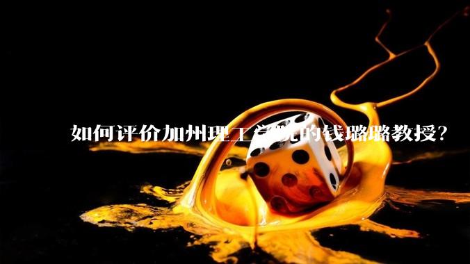 如何评价加州理工学院的钱璐璐教授？