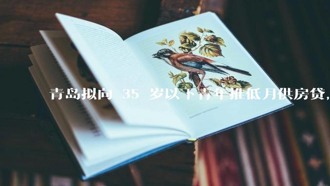 青岛拟向 35 岁以下青年推低月供房贷，前 10 年仅还利息，怎样看这一政策？会增加后期还贷压力吗？