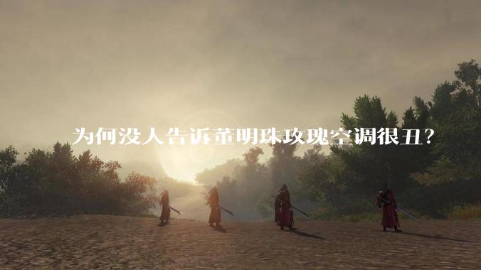 为何没人告诉董明珠玫瑰空调很丑？