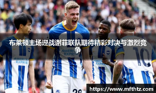 布莱顿主场迎战谢菲联队期待精彩对决与激烈竞争