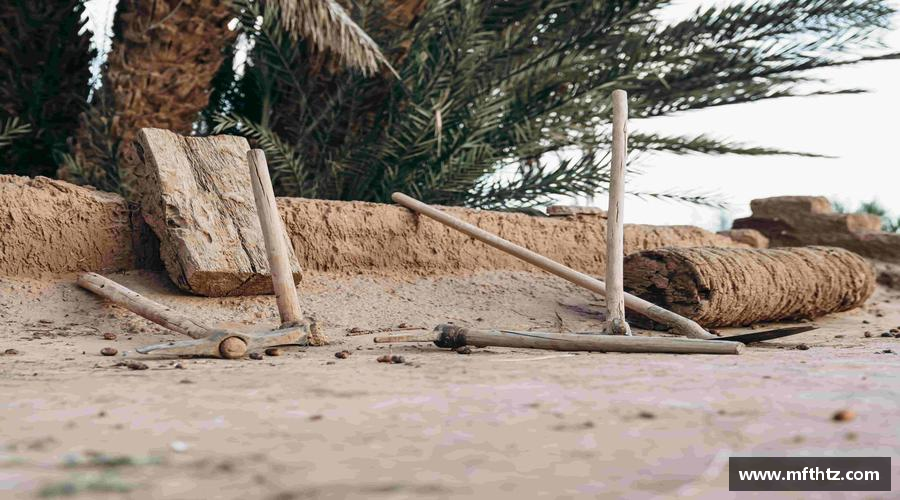 热血青春，全情投入